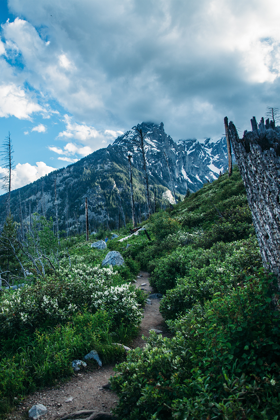 Mountain hiking trail