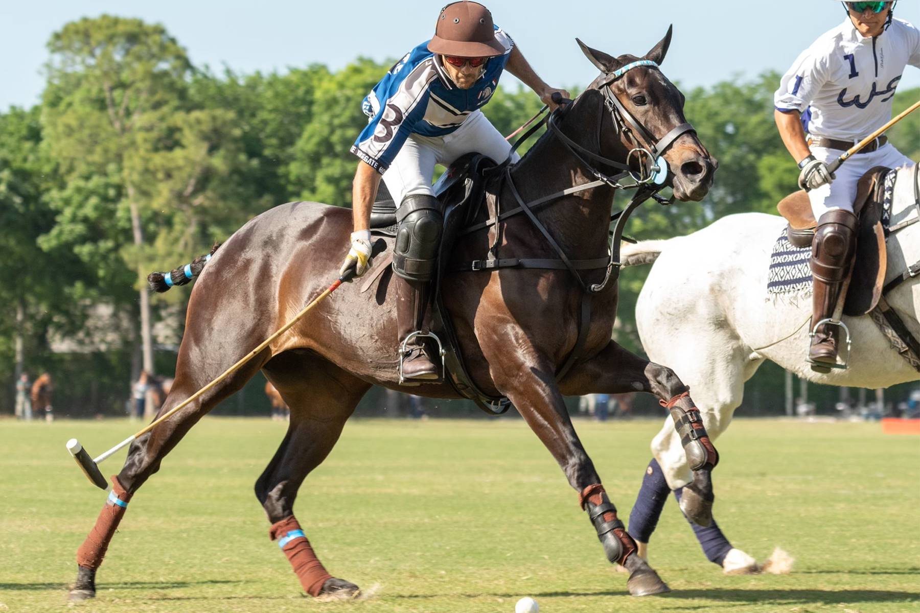 Man on Horse Playing Polo